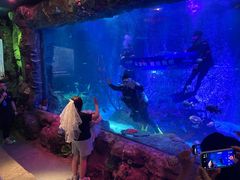 -沈阳海洋探索中心