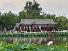 -西海子公园