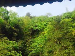 -藏龙百瀑风景区