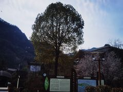 -北五省会馆