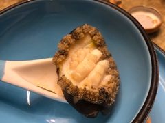 鲜活小鲍鱼-金龙·打边炉(武进路店)