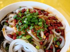 -胖大姐黄辣丁鱼庄(新津店)