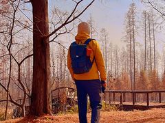 -黄海国家森林公园