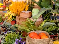 -中国天府农业博览园