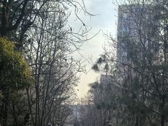 -木塔寺遗址生态公园