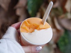 -Dip in Gelato(富民路店)