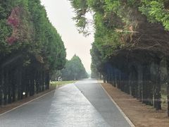 -秦始皇帝陵博物院-丽山园