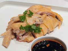 林地散养白切鸡-壹只菜·崇明本地特色菜(崇明南门店)