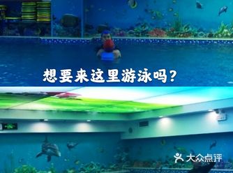 假期带着孩子来游泳，体验吧！