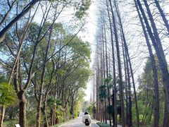 -同里国家湿地公园