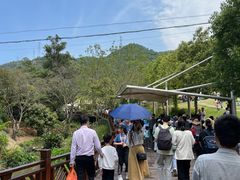 -泉州海丝野生动物世界