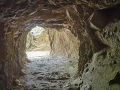 -上海佘山国家森林公园天马山园