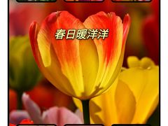 -大宁公园