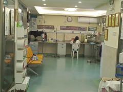 -动物缘宠物医院·骨科·猫科(西二环店)