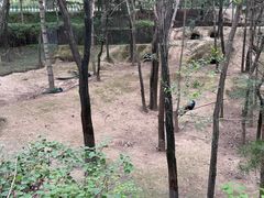-青藏高原野生动物园