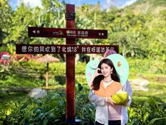 -呀诺达热带雨林