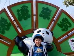 -苏州太湖国家湿地公园