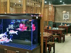 -邵年鸽(杨庄店)