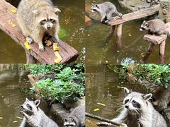 -长鹿旅游休博园