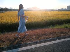 -光明小镇欢乐田园