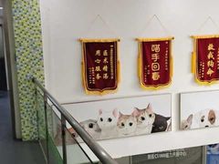 -爱侣宠医·鹦鹉专科·小型哺乳类·异宠专科(灵石路店)