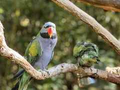 -云南野生动物园