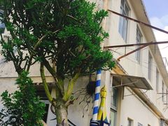 -大澳
