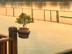 -东湖食堂·湖景餐厅•会议