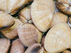 -泰白海鲜烧烤大全