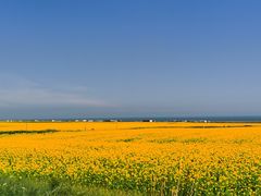 -青海湖国家重点风景名胜区