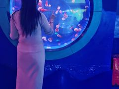 -左海海底世界