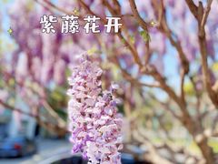 -北京京宝行宝马4S店(闵庄路店)