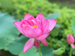 -龙环葡韵住宅式博物馆