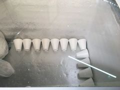 -洪馨椰子
