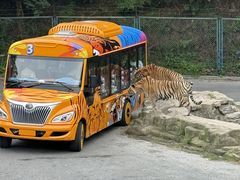 -大连森林动物园