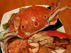 -视界美食自助餐厅·石家庄希尔顿酒店