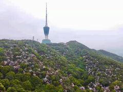 -梧桐山风景名胜区