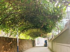 -大海别墅民宿农家院(十渡店)