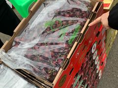 -双福水果批发市场