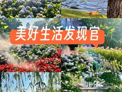 -荔湾湖公园