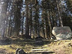 -硗碛藏寨·神木垒景区