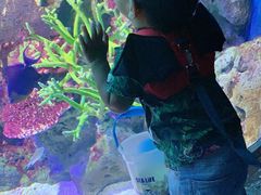 -暹罗海洋世界