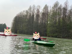 -上海海湾国家森林公园