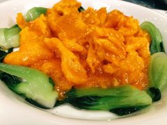 蟹黄扒鱼肚-燕春楼(海河华鼎店)