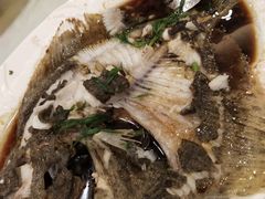 清蒸多宝鱼-福满园大酒楼(梅林店)