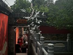 -潭柘寺景区