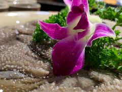 鲜毛肚-重庆渝达老火锅(春熙路店)