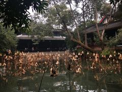 -成都武侯祠博物馆
