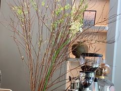 -溯洄咖啡VORTEX COFFEE