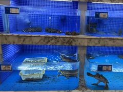 -香山湖渔家大院